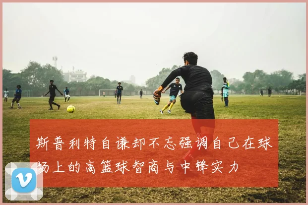 斯普利特自谦却不忘强调自己在球场上的高篮球智商与中锋实力